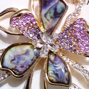 stunning brooch Final price pls can' tafford any more discount